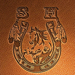 spotted horse logo